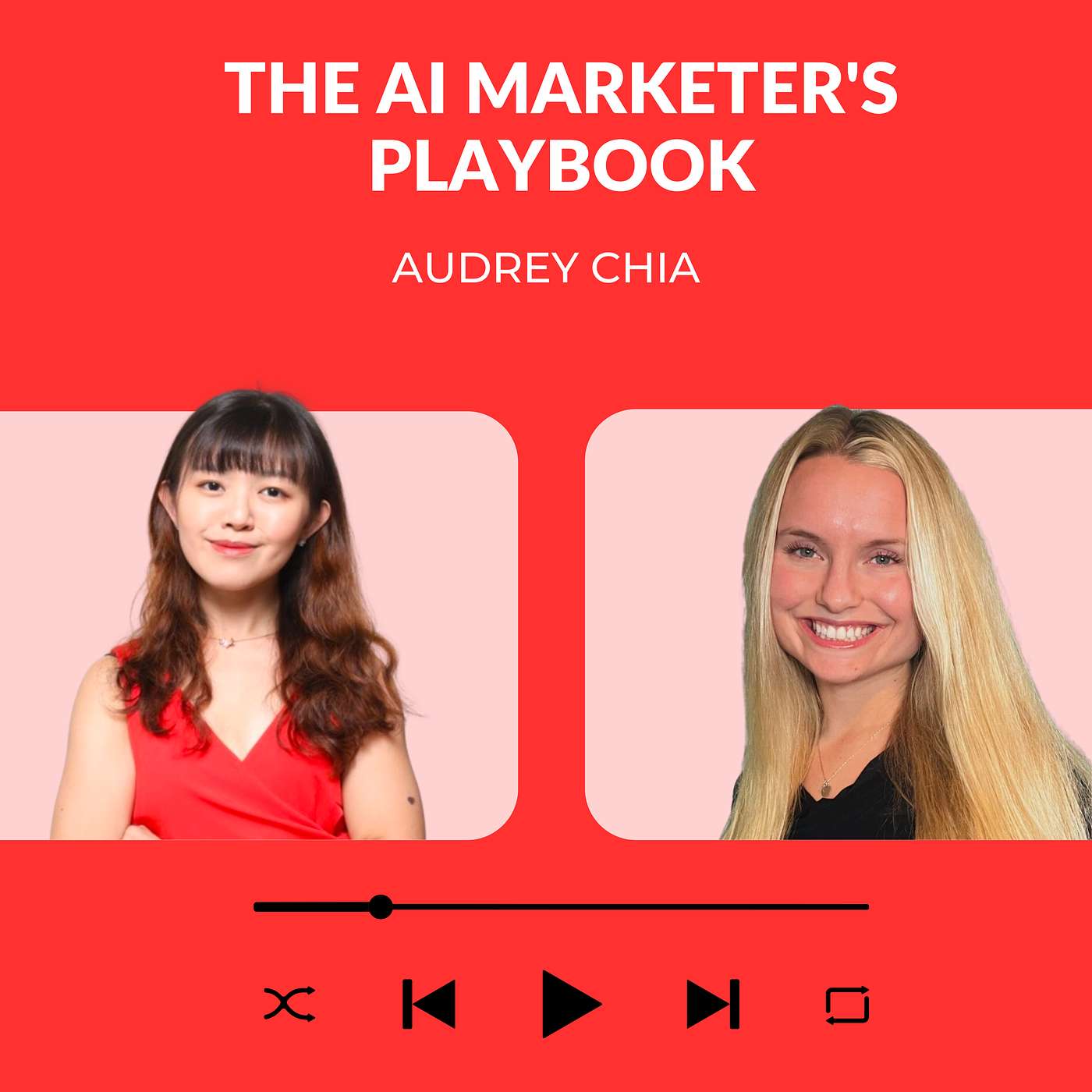 The AI Marketer\'s Playbook