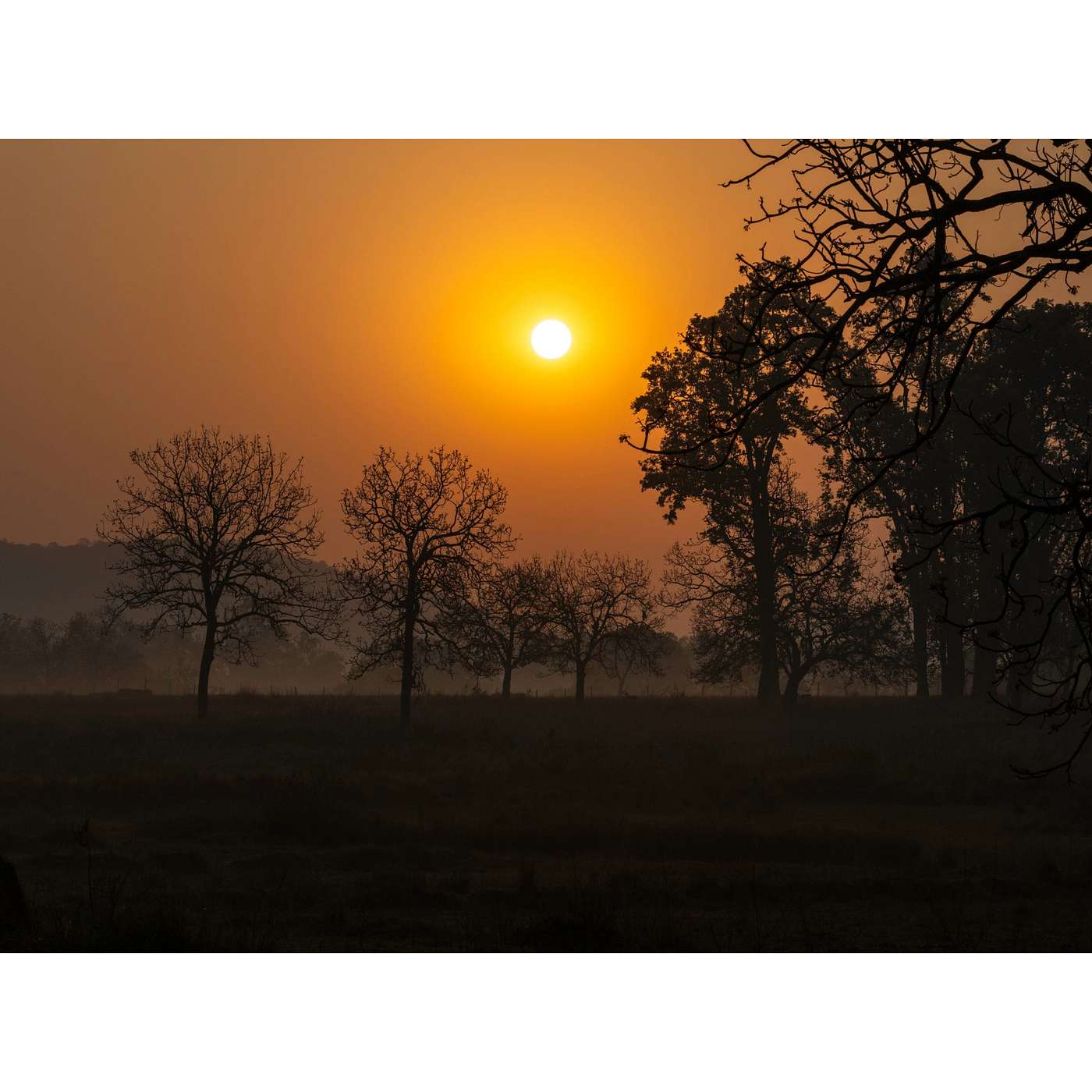 Relaxations Breathwork & Meditations by Yoga for Scleroderma