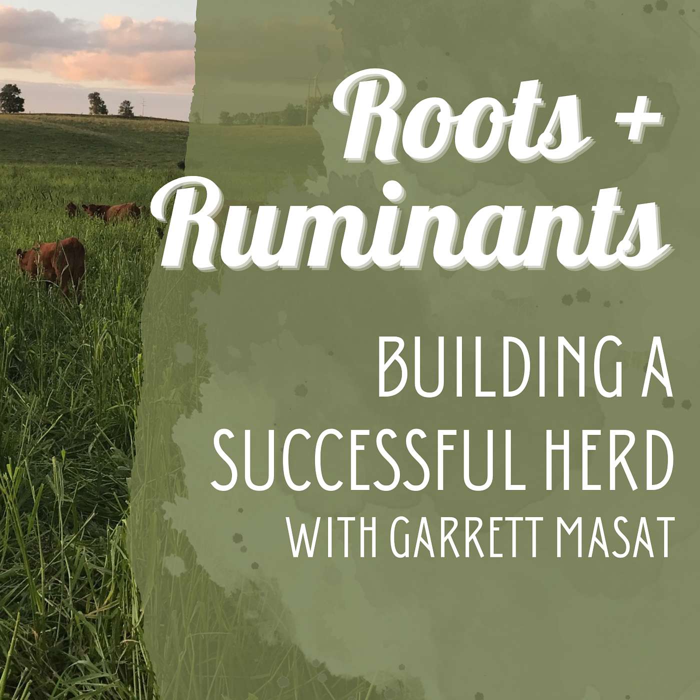 Building a Successful Herd with Garrett Masat
