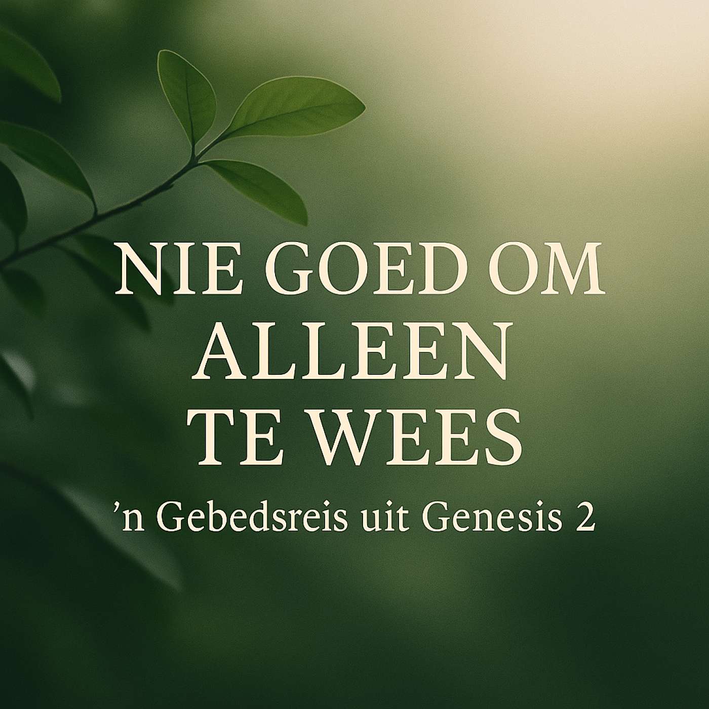 Nie Goed Om Alleen Te Wees Nie – ’n Gebedsreis uit Genesis 2 episode artwork