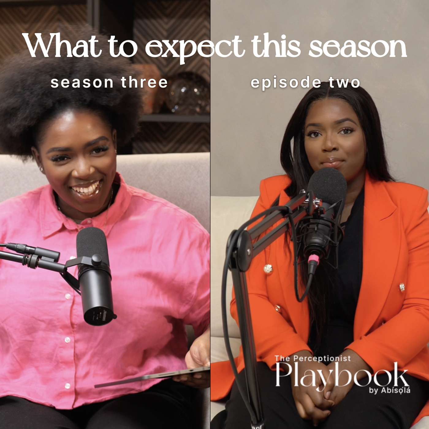 NEW Season 3 theme REVEAL | What have I got planned this season? What's next? | S3 E2 episode