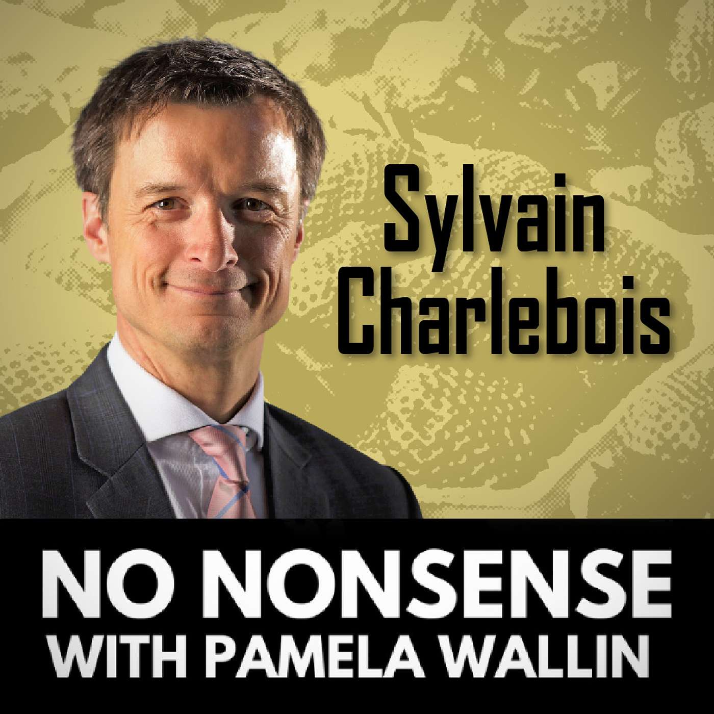 Mini Pod: Fixing the Cost of Food Crisis with Sylvain Charlebois