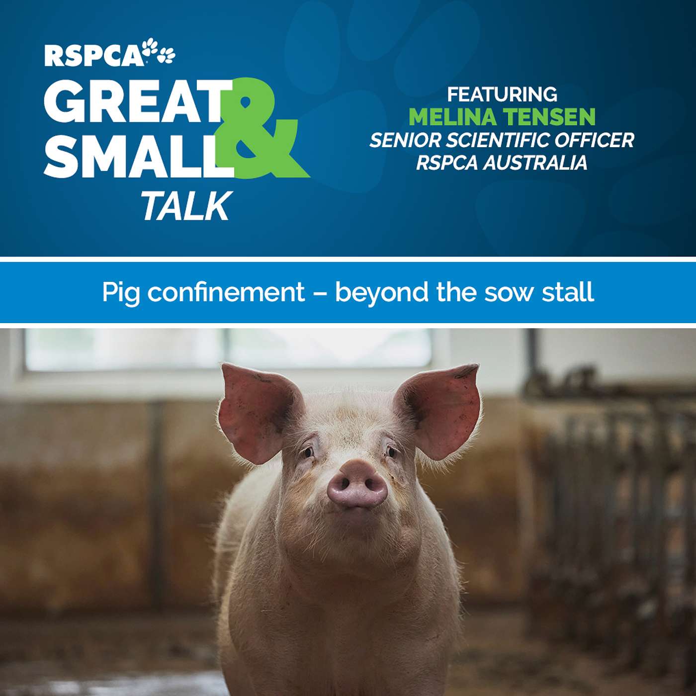 RSPCA Australia\'s Great & Small Talk