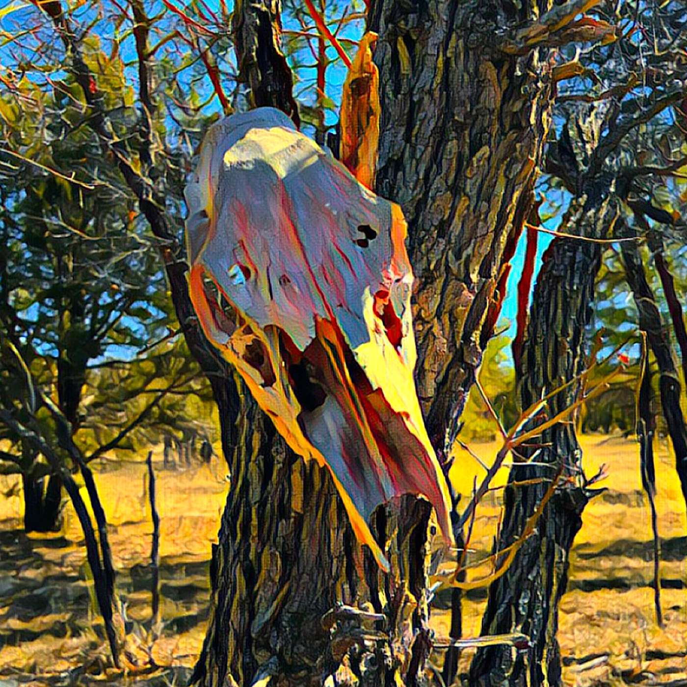 Arizona Trail: Game Player
