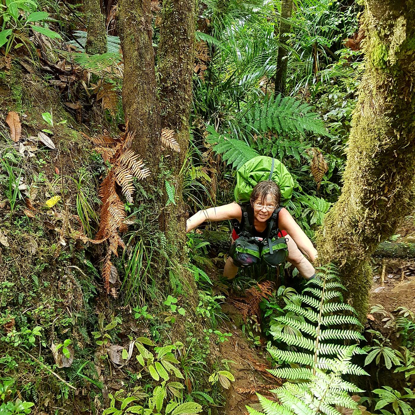 Celia Wade-Brown - Politics, Walking Festivals, and Te Araroa Celia Wade-Brown - Politics, Walking Festivals, and Te Araroa