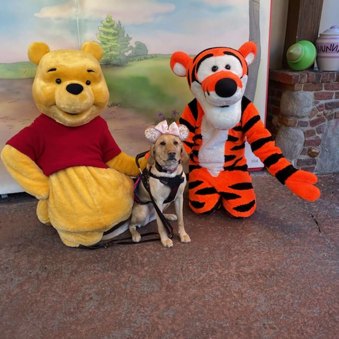 Service Dogs at Disney