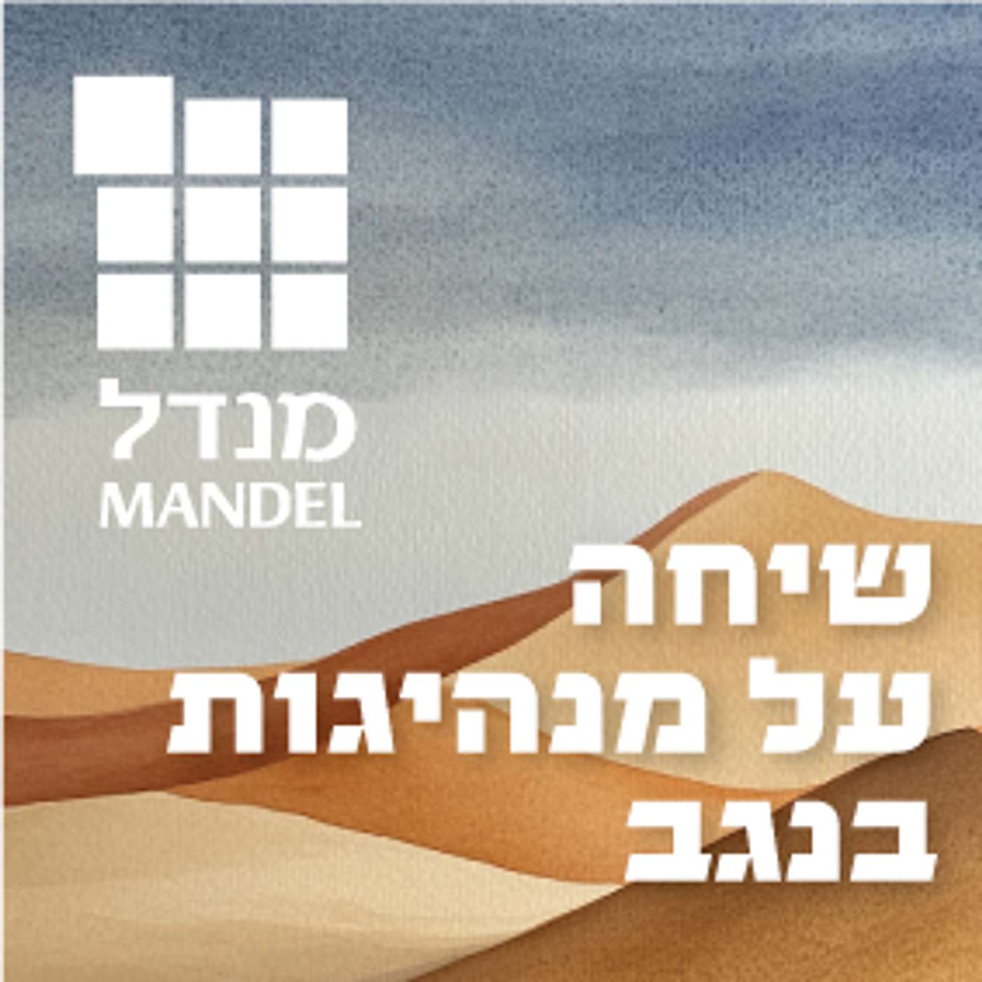 שיחה על מנהיגות בנגב episode artwork