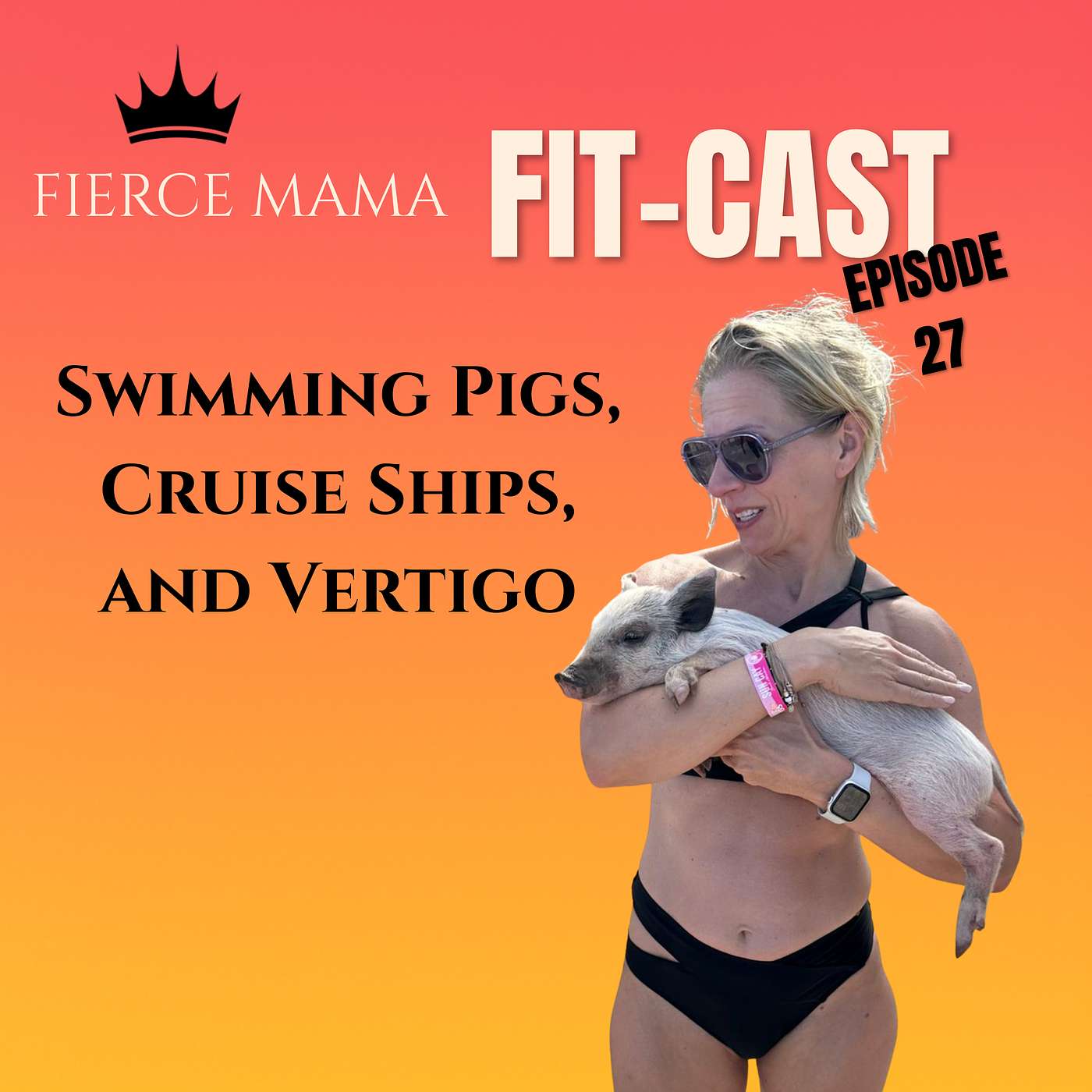 Episode 27 -Swimming Pigs, Cruise Ships, and Vertigo episode artwork