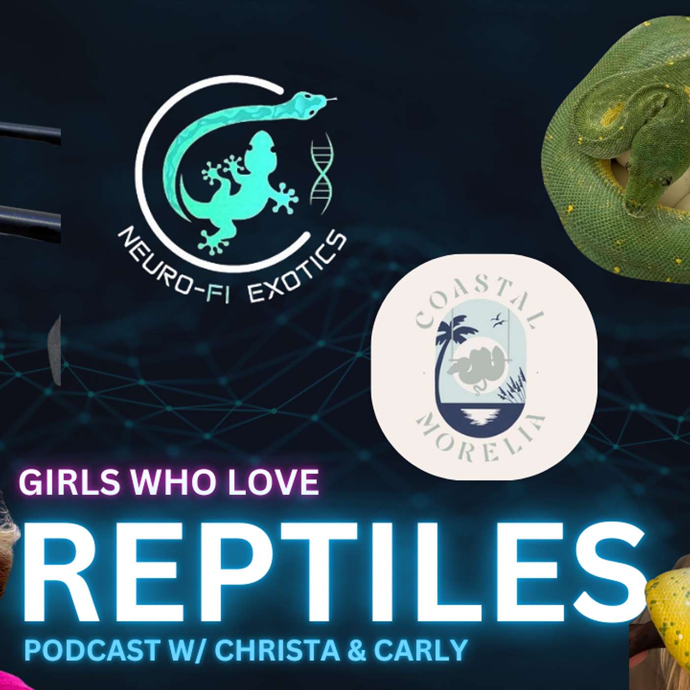 Why More Women Should Be Getting Into The Chondro Game | Girls Who Love Reptiles Podcast Live