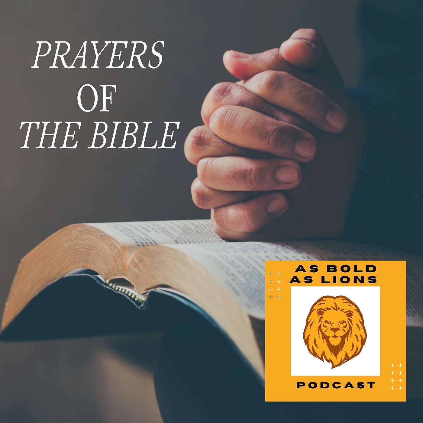 As Bold As Lions Podcast