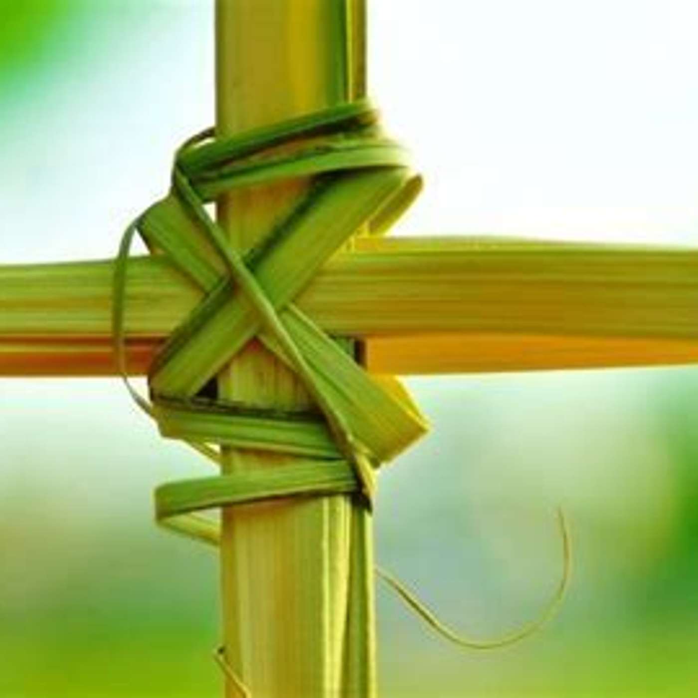 Palm Sunday Message episode artwork