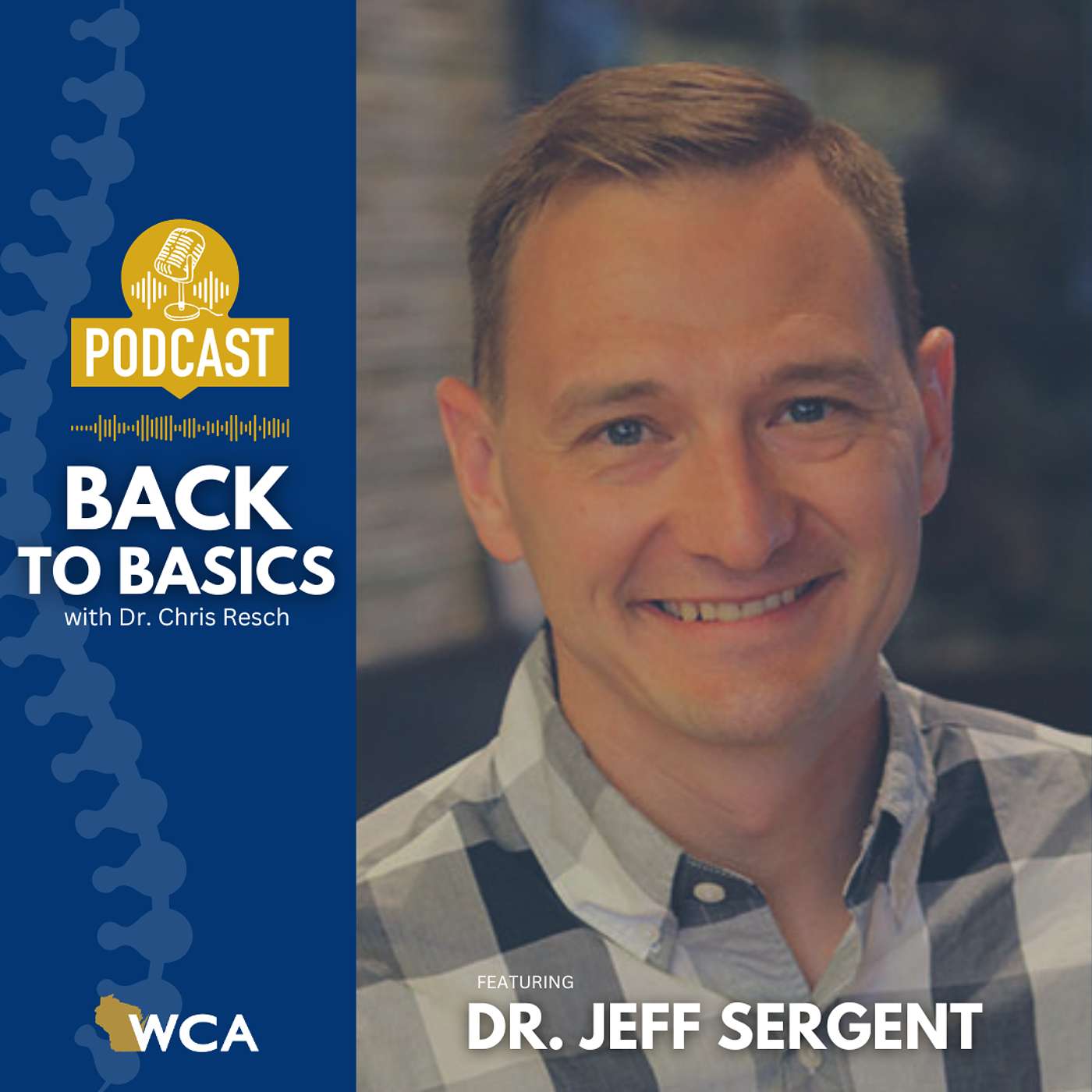 Dr. Jeff Sergent: Integrating Movement & Rehabilitation Into Practice episode artwork