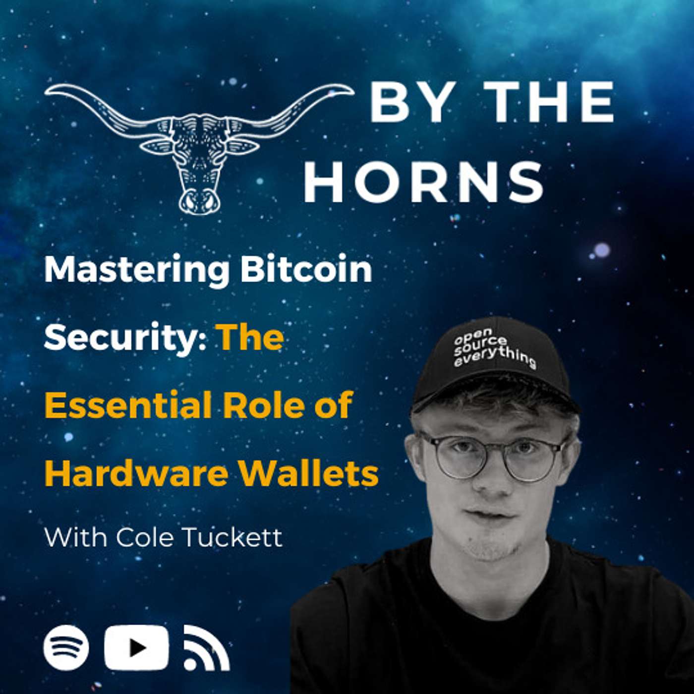 By The Horns: A Bitcoin podcast about South Africa