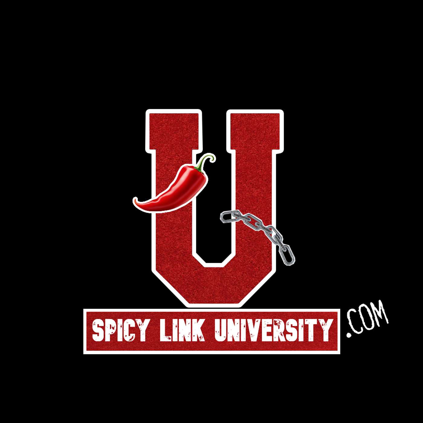 Spicy Link University Podcast