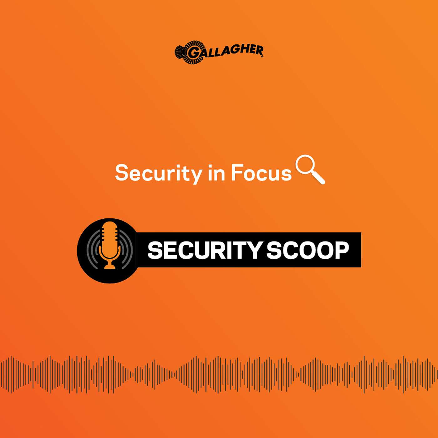 Security in Focus