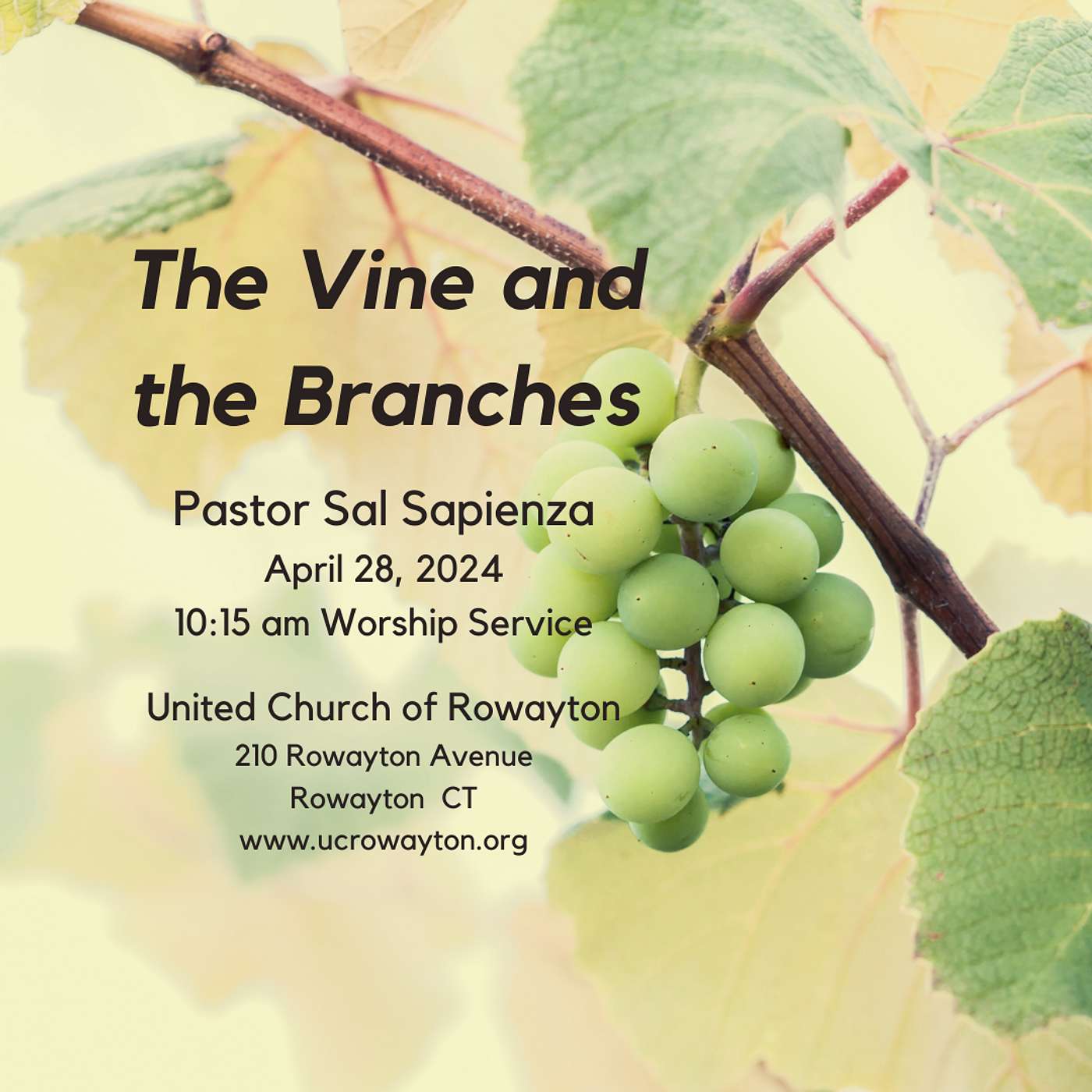 "Vine and Branches" - April 28 Worship Service episode artwork