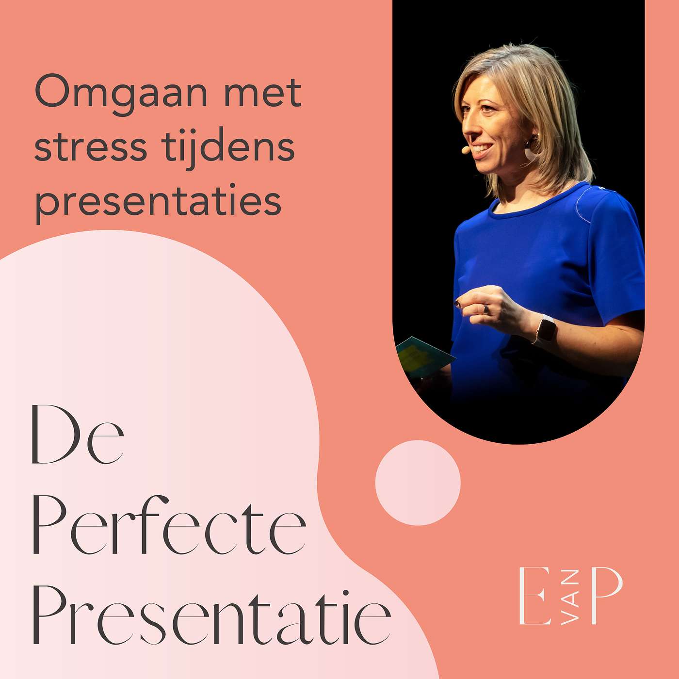 De perfecte presentatie