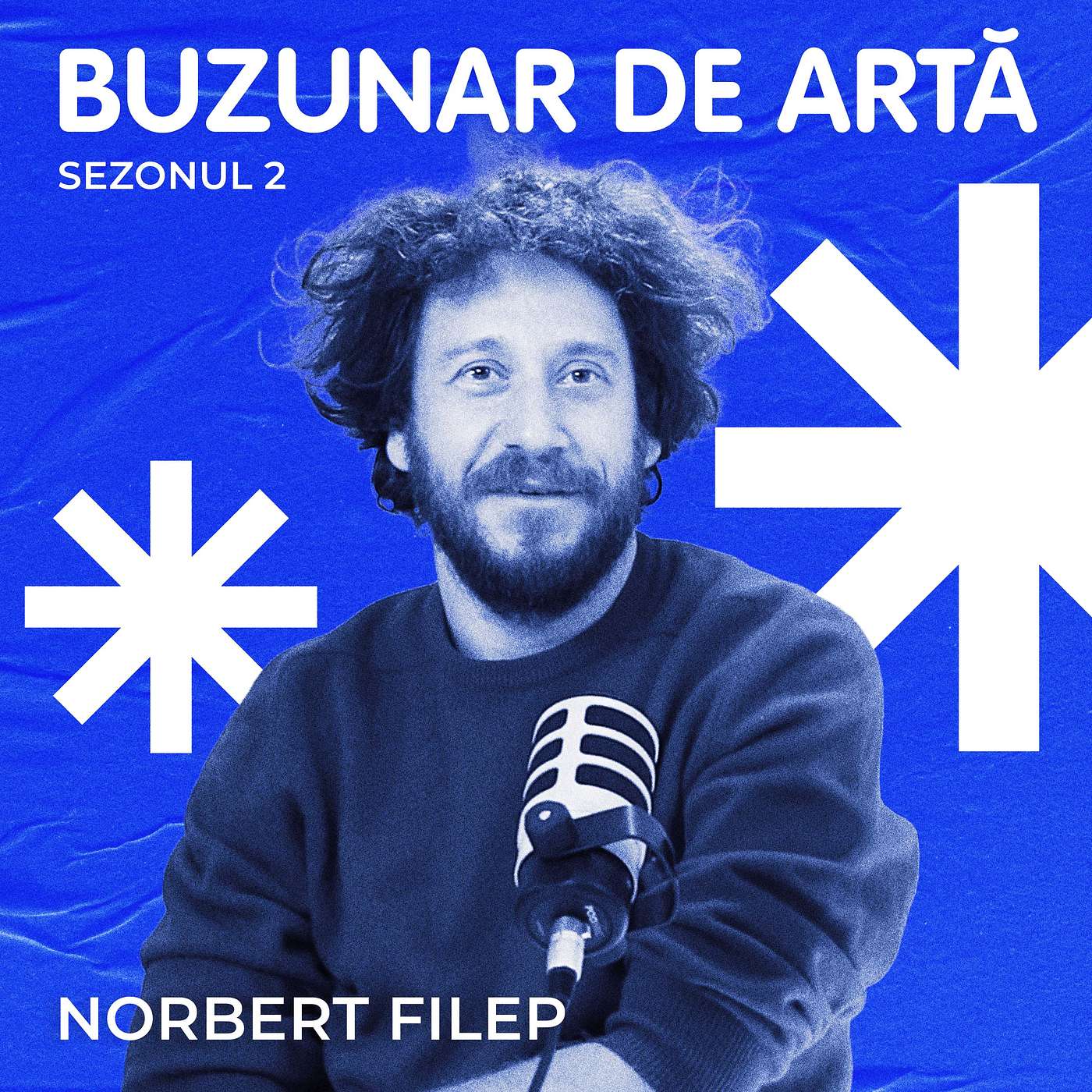 Podcast Buzunar de Artă