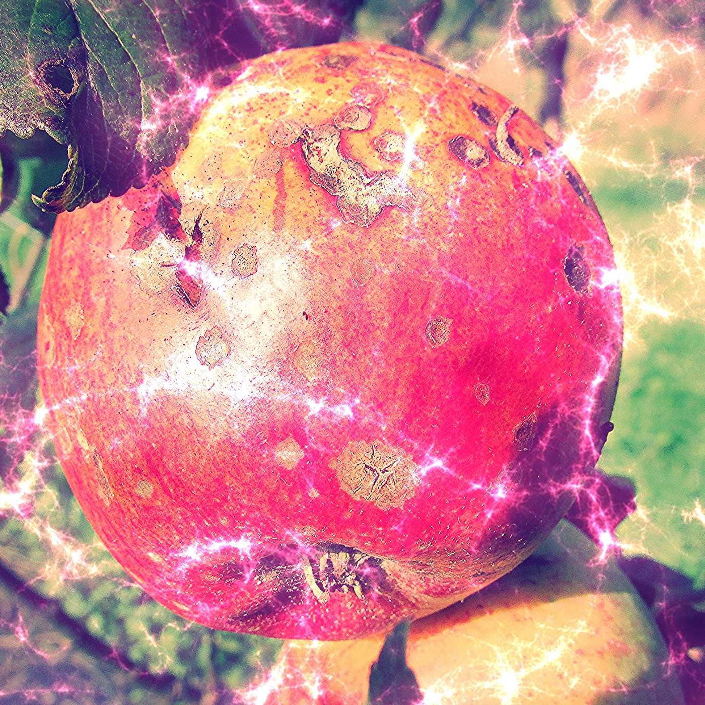 #44: How to Make a Bad Apple - Milgram's Shock, Robbers Cave, and Arendt's "Banality of Evil" episode artwork