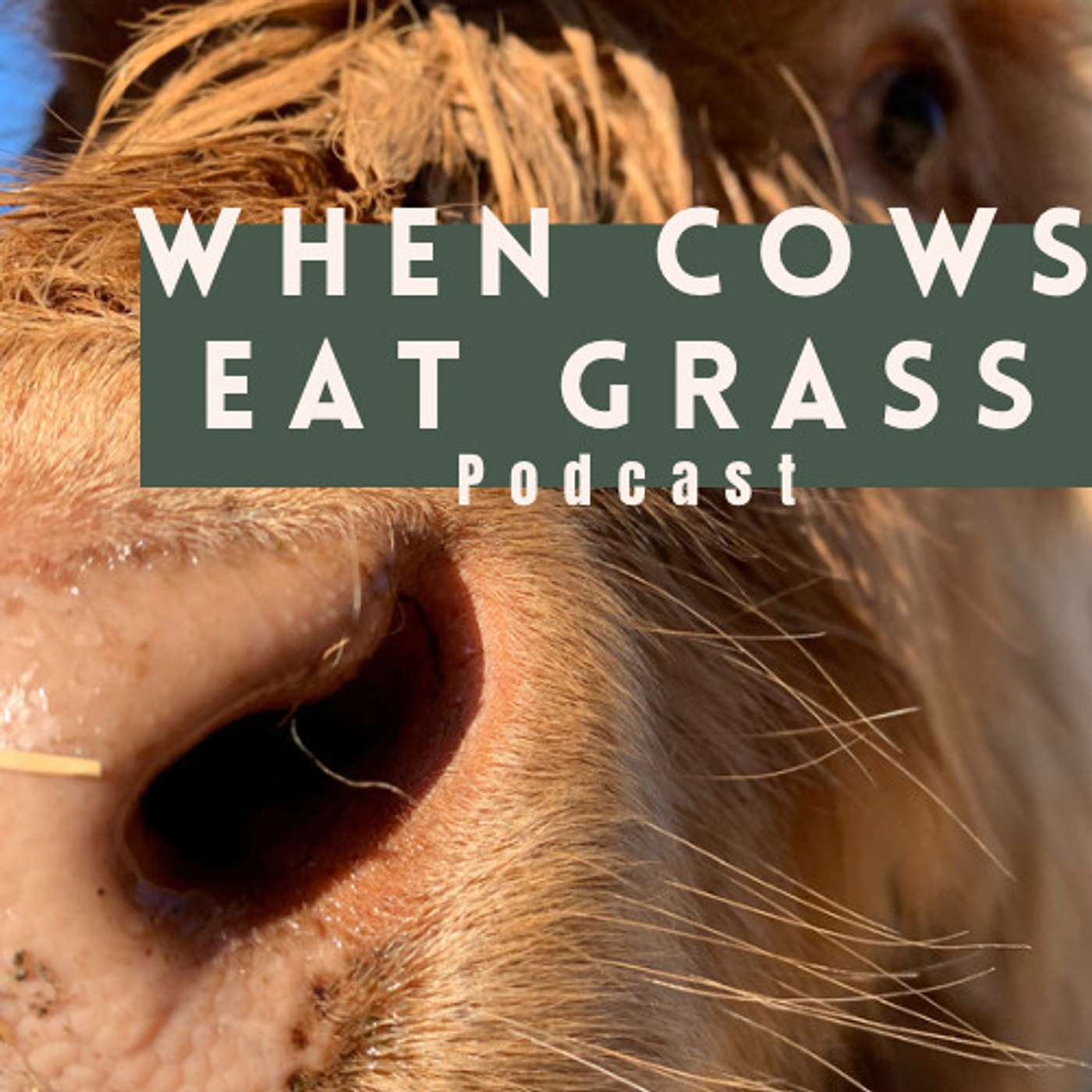 When Cows Eat Grass