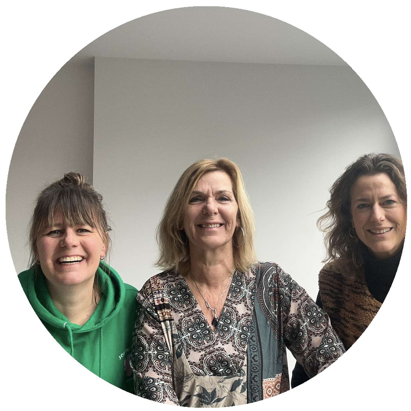 #18 Leanne Steeghs– systemisch kijken naar teams episode artwork
