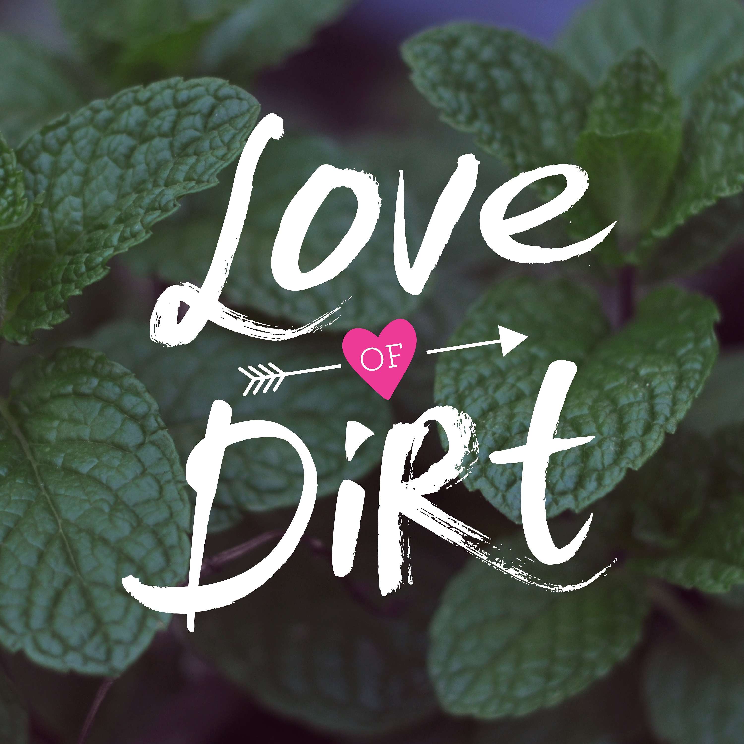 Love of Dirt