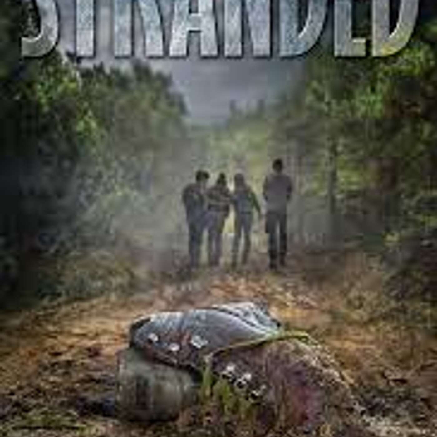 Stranded by Melinda Braun (Contemporary Fiction)