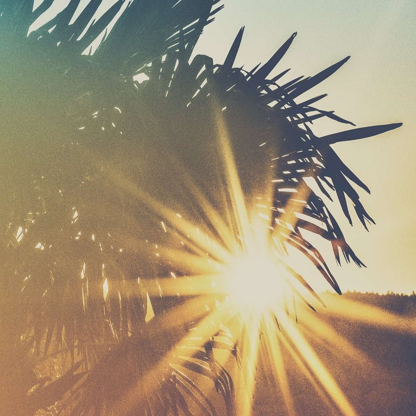 Palm Sunday 2022 episode artwork
