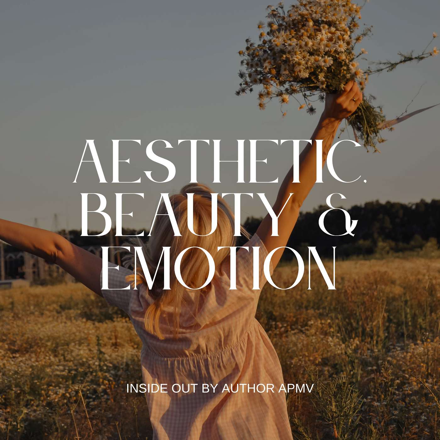 How Fashion Reflects Emotion episode artwork