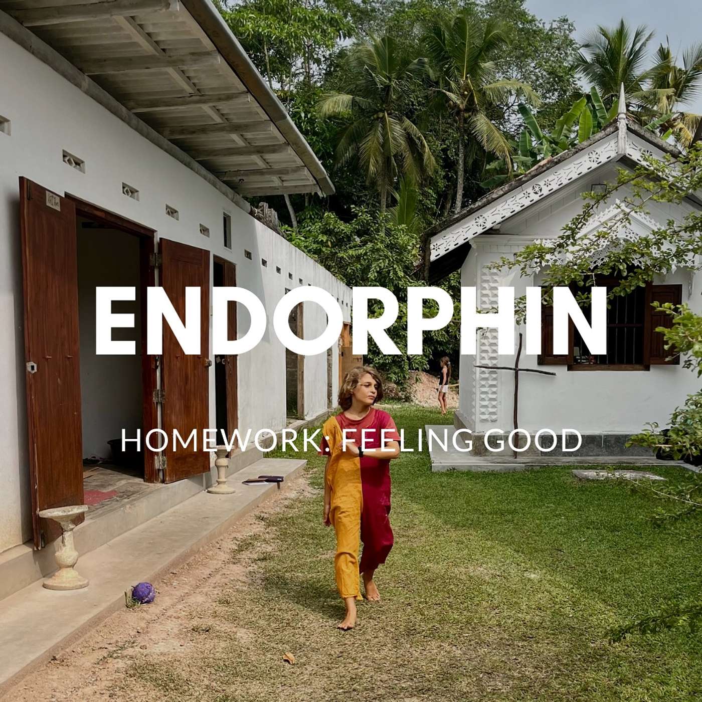 שחרור אנדורפינים שחרור אנדורפינים