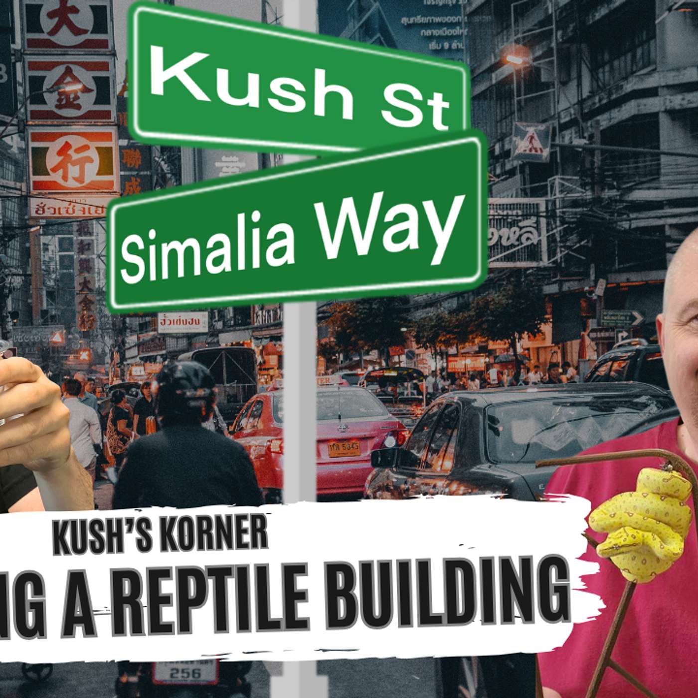 Designing A Reptile Building From The Ground Up With Ryan Young | Kush's Korner Live