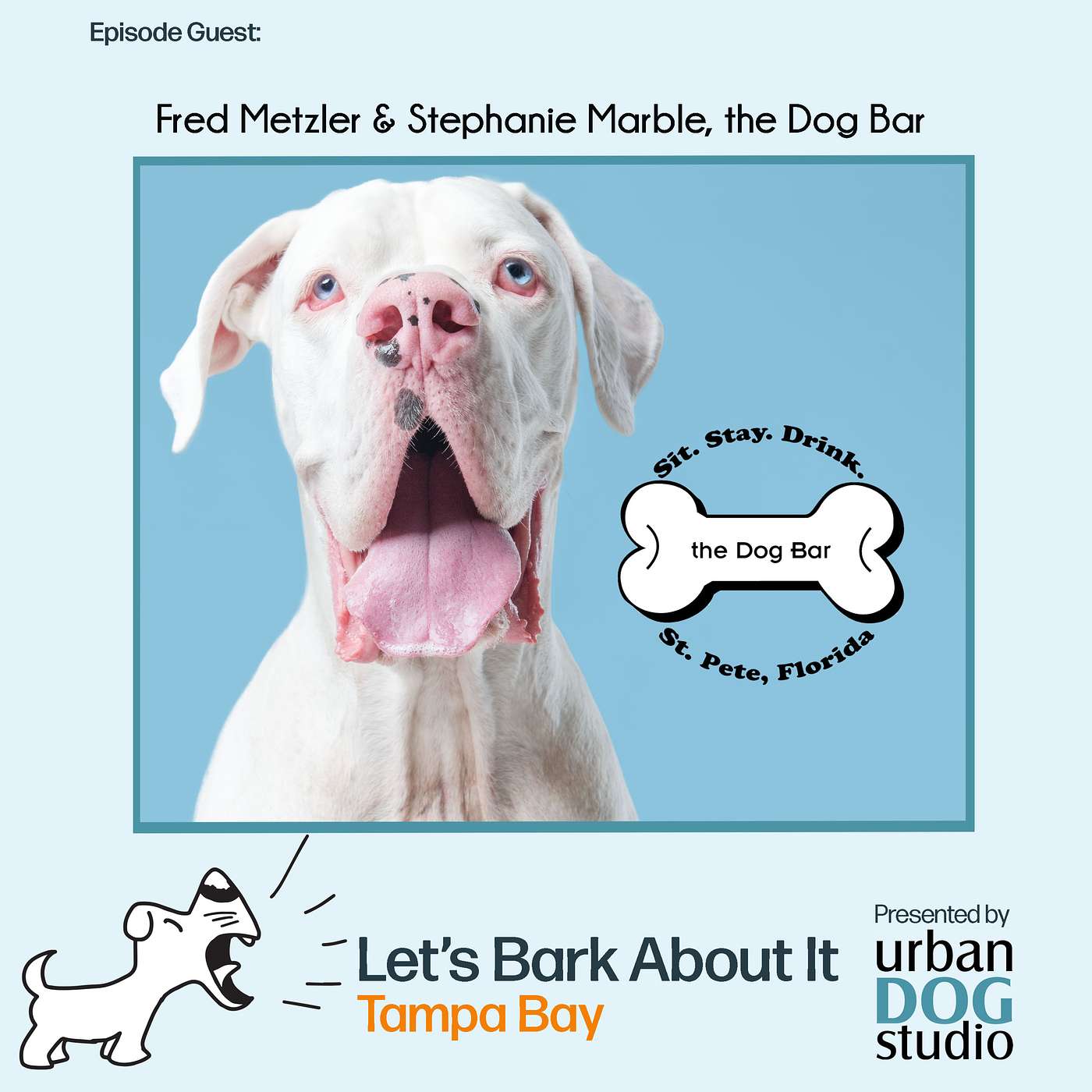 Let\'s Bark About It Tampa Bay!