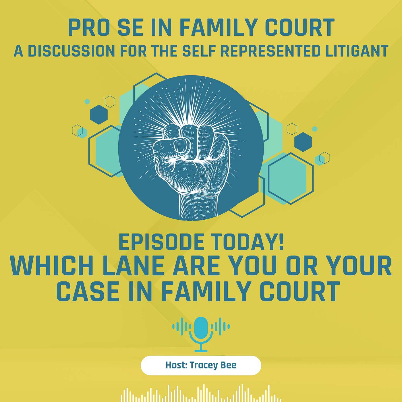 Episode 4: Which Lane Are You or Your Case in Family Court episode artwork