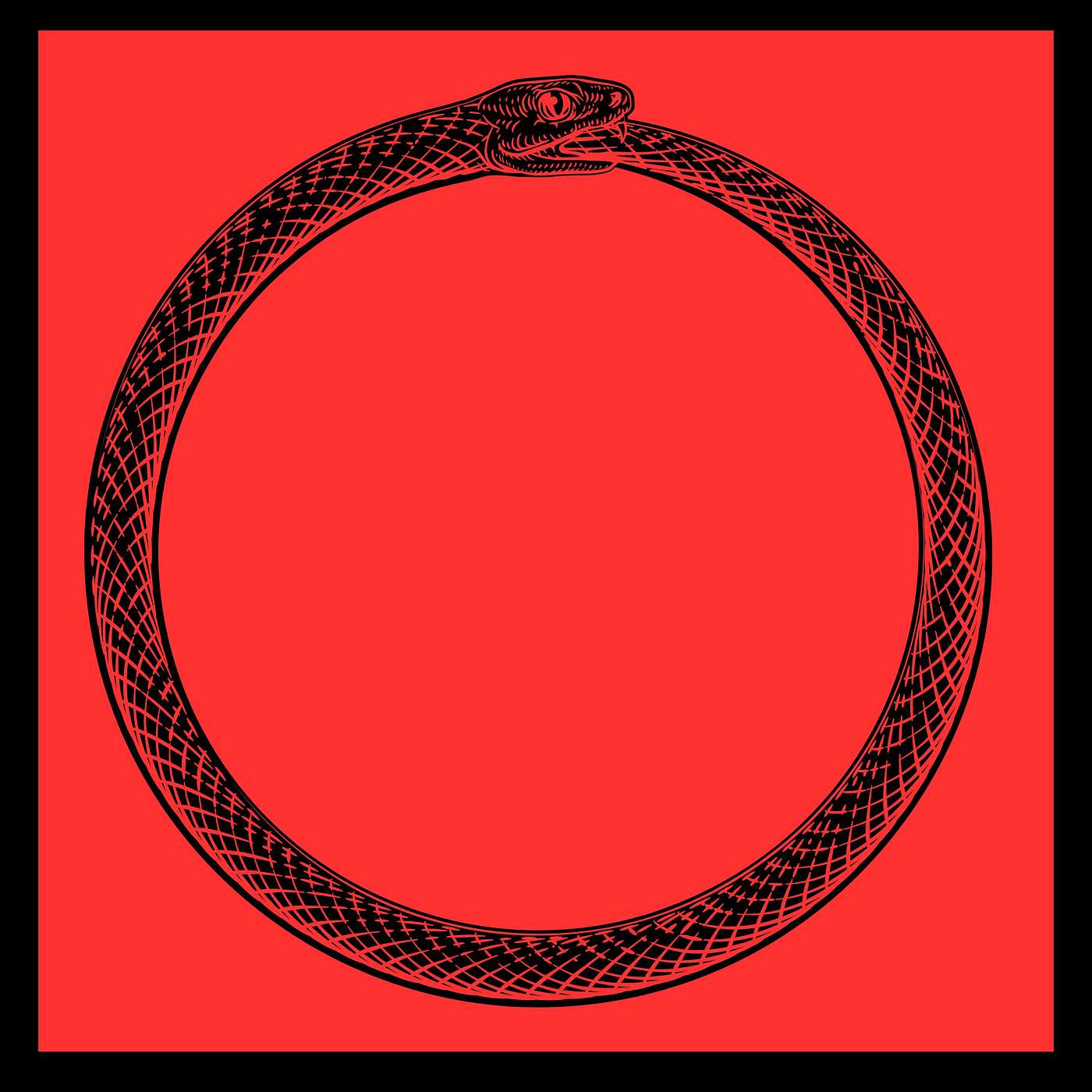 Dealing with Difficult Emotions & What Happens When You See God | Q&A