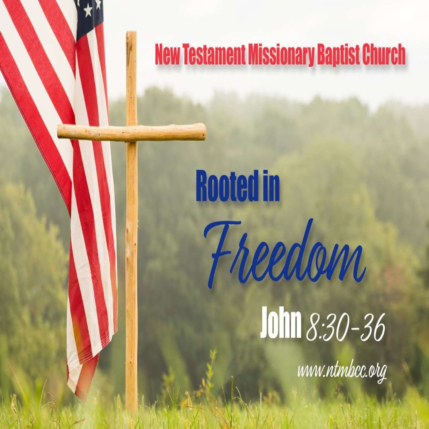 Rooted in Freedom, John 8:30-36 (Audio)