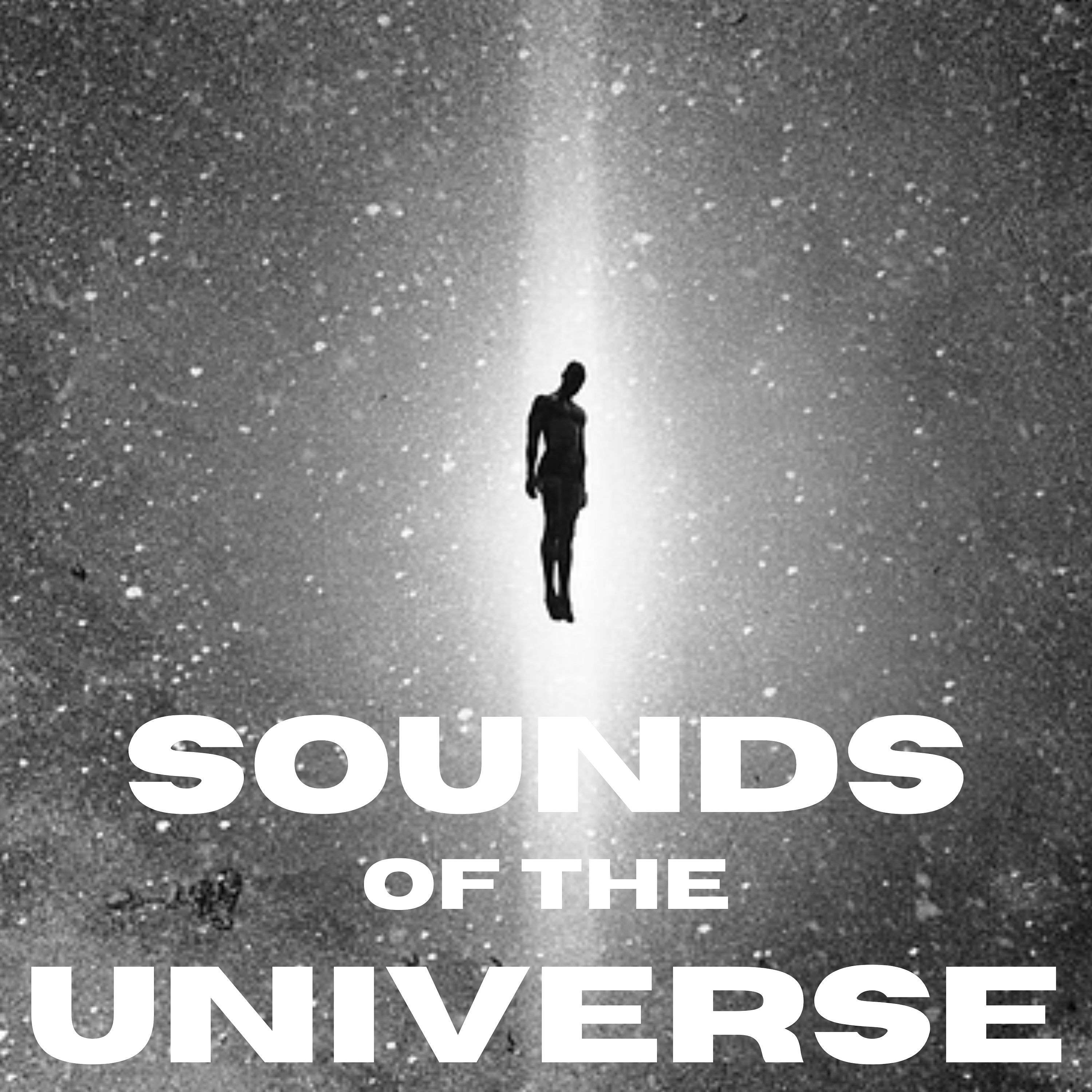 Sounds of the Universe