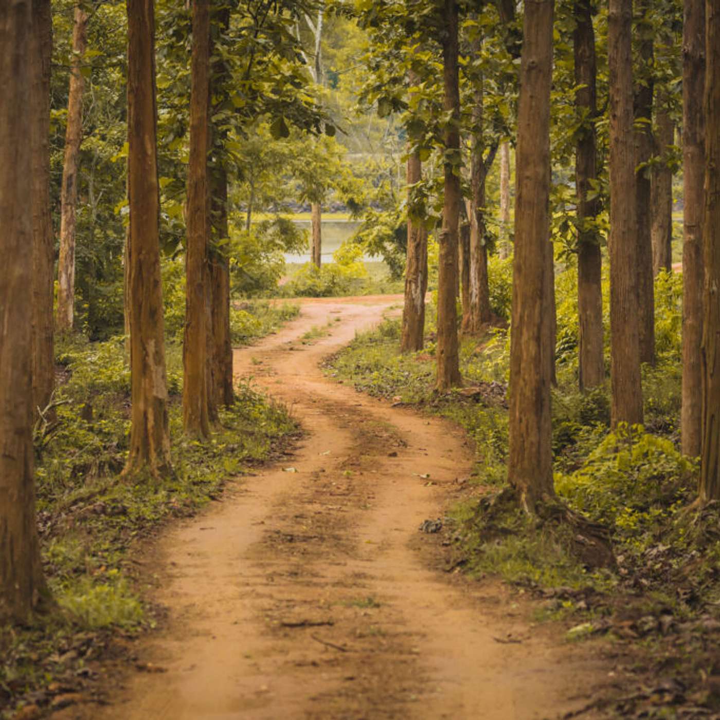 The Road Less Traveled
