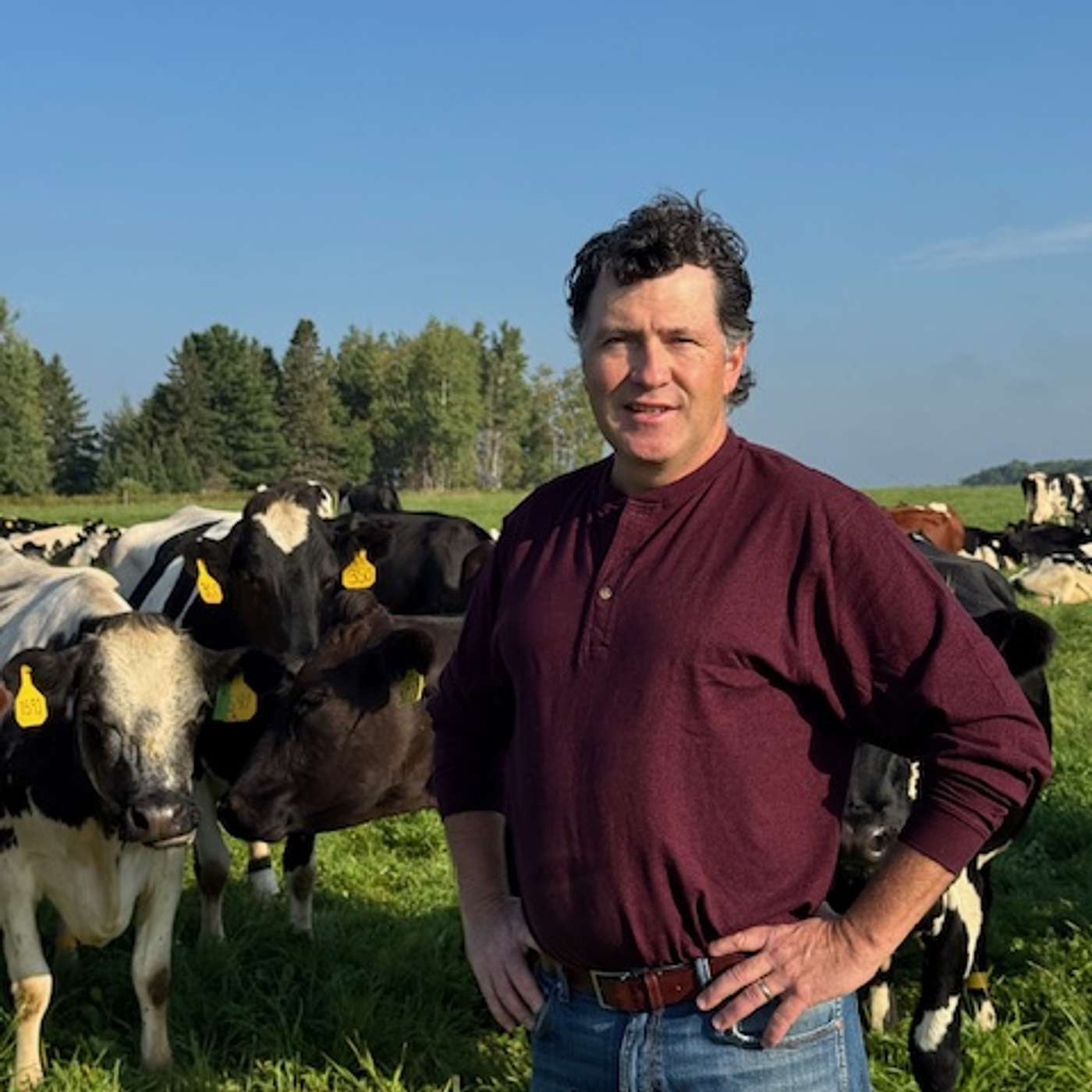 404 Joe Tomandl – CAFOs have caught up, can regenerative dairy still win? 404 Joe Tomandl – CAFOs have caught up, can regenerative dairy still win?