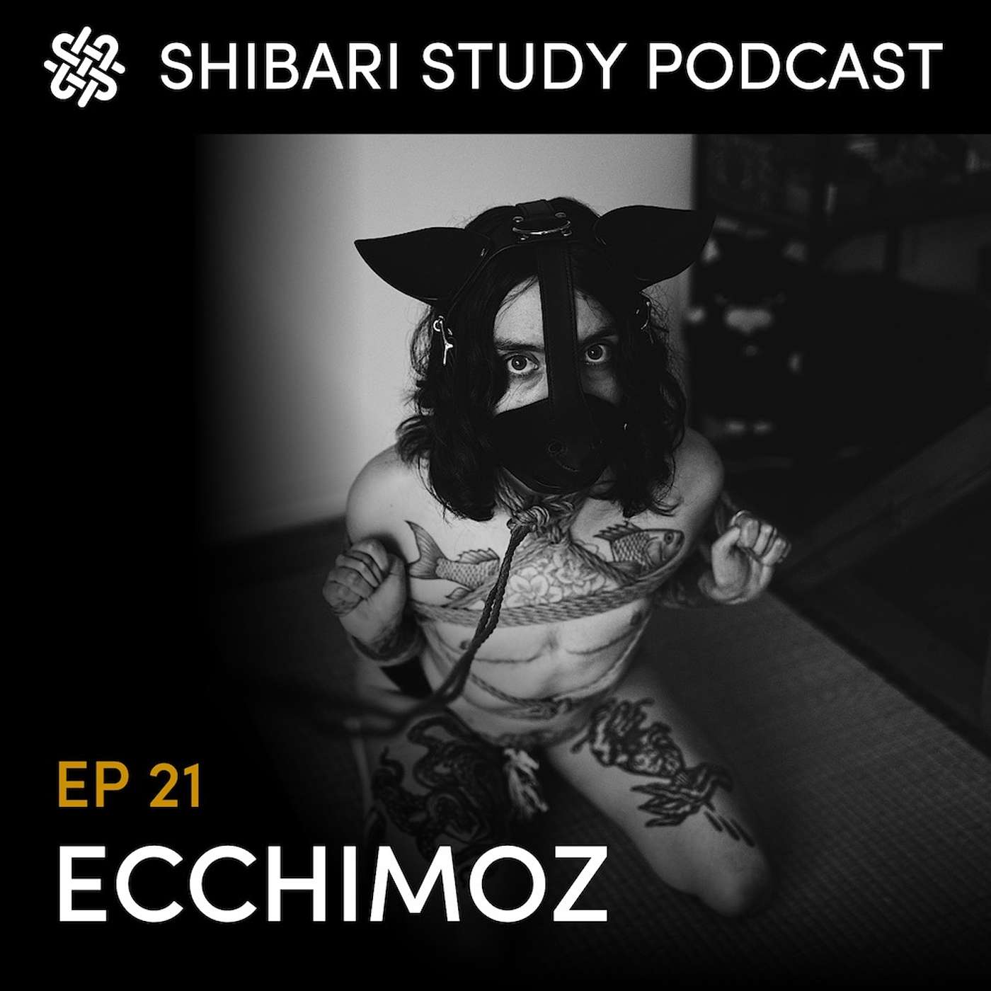 Shibari Study Podcast