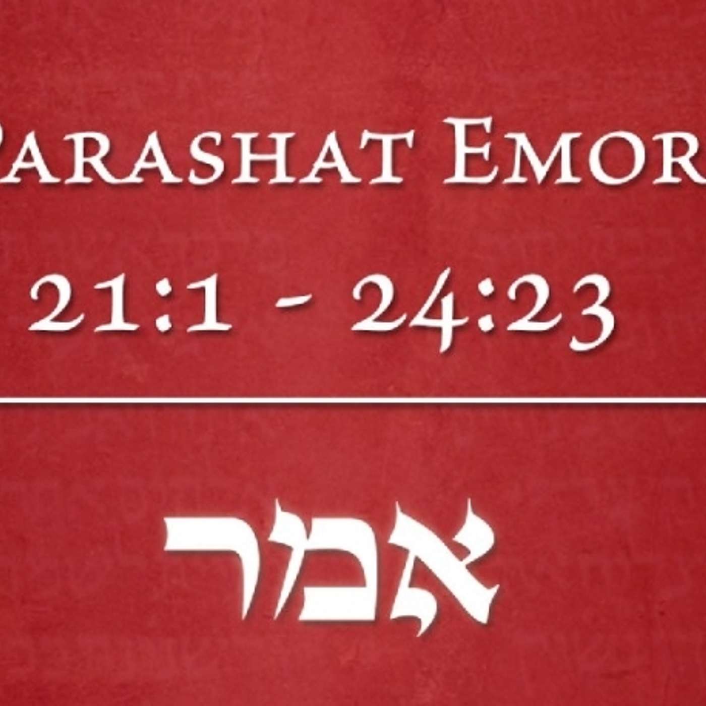 Emor: Leviticus 21:1-24:23