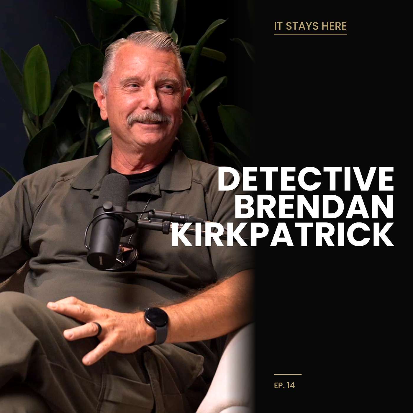 #14: Trust But Verify: A Fraud Detective on the Scams Draining Our Life Savings | Brendan Kirkpatrick episode artwork