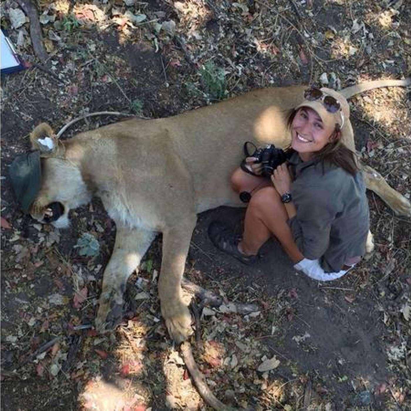 DEAD on the DELTA: An African Adventure; Lion Researcher Robynne Kotze episode artwork