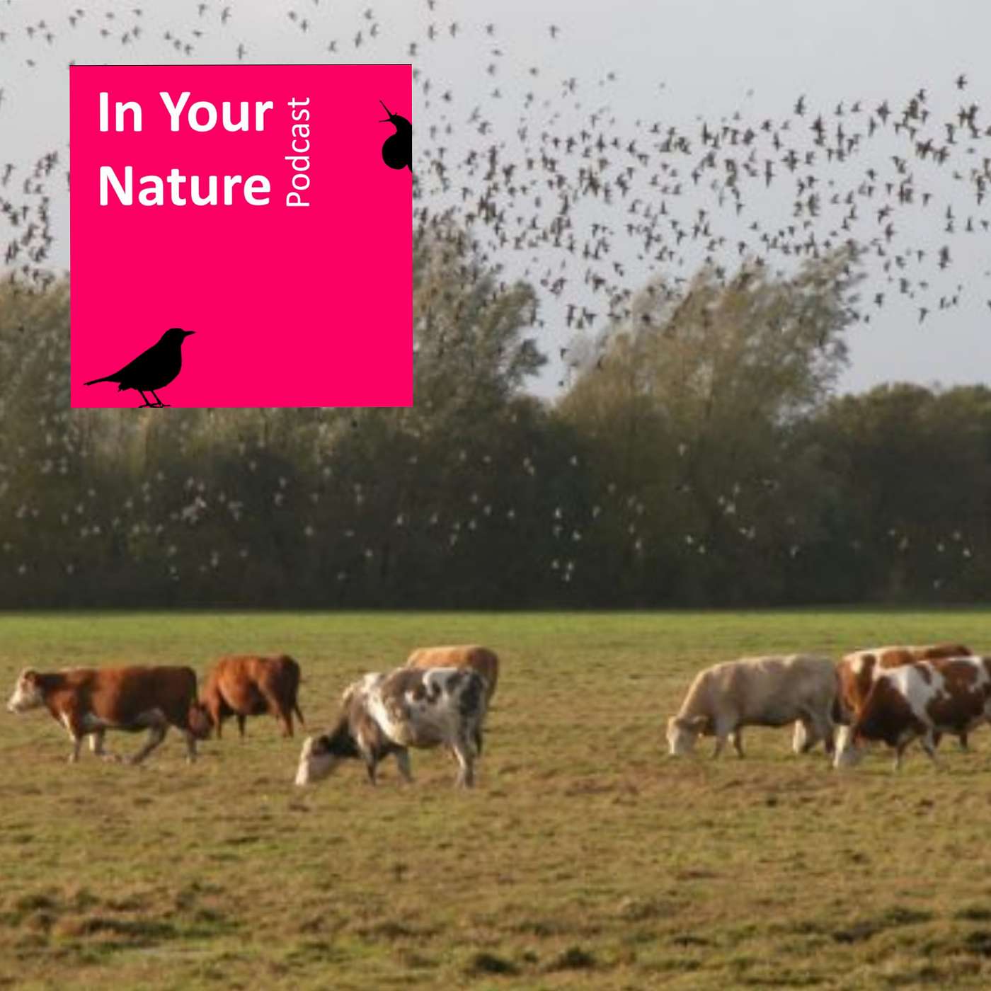 In Your Nature