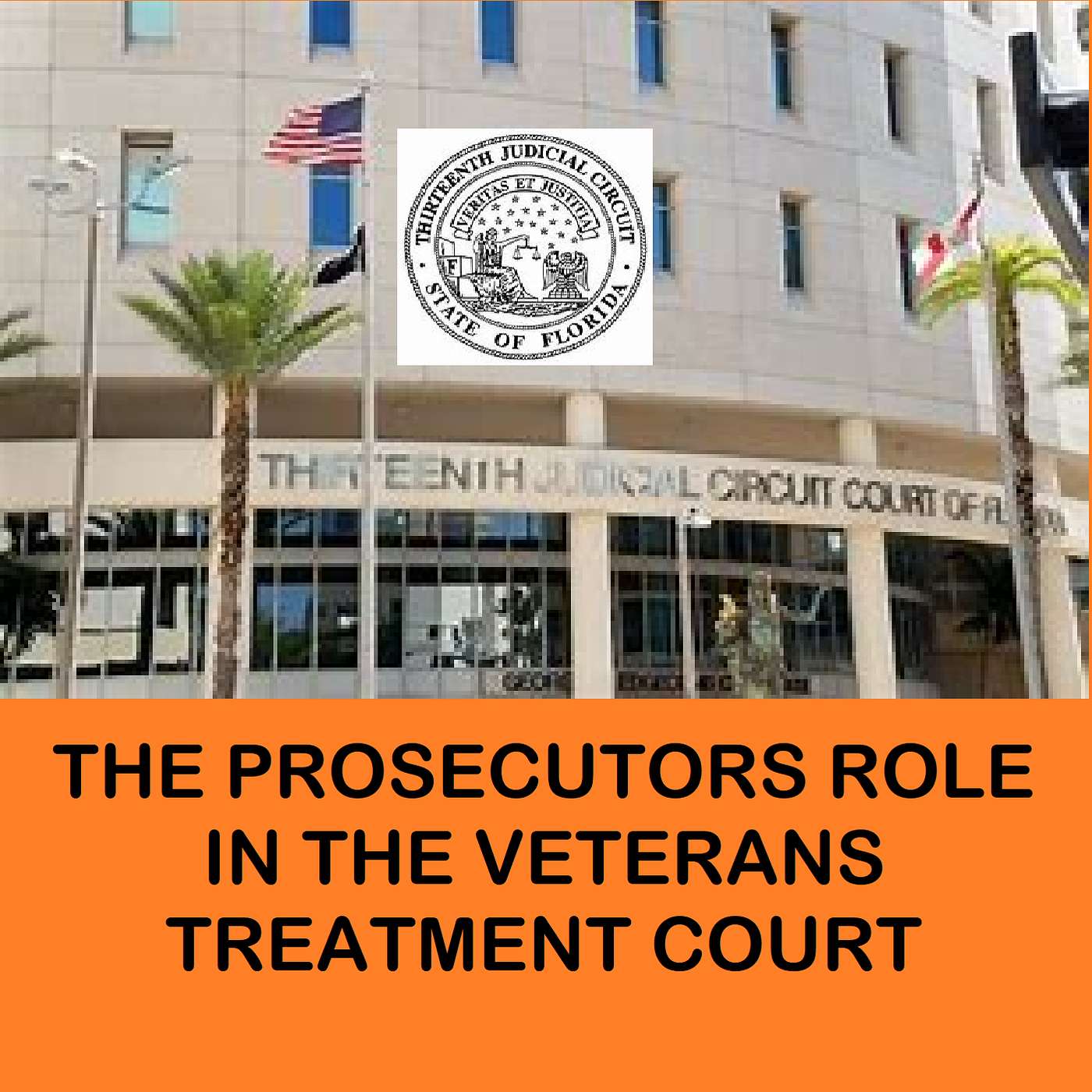 Here is part 2 for our series on the Veterans Treatment Court. Learn the part that the Prosicutor plays in turning the lives around of our Veterans.