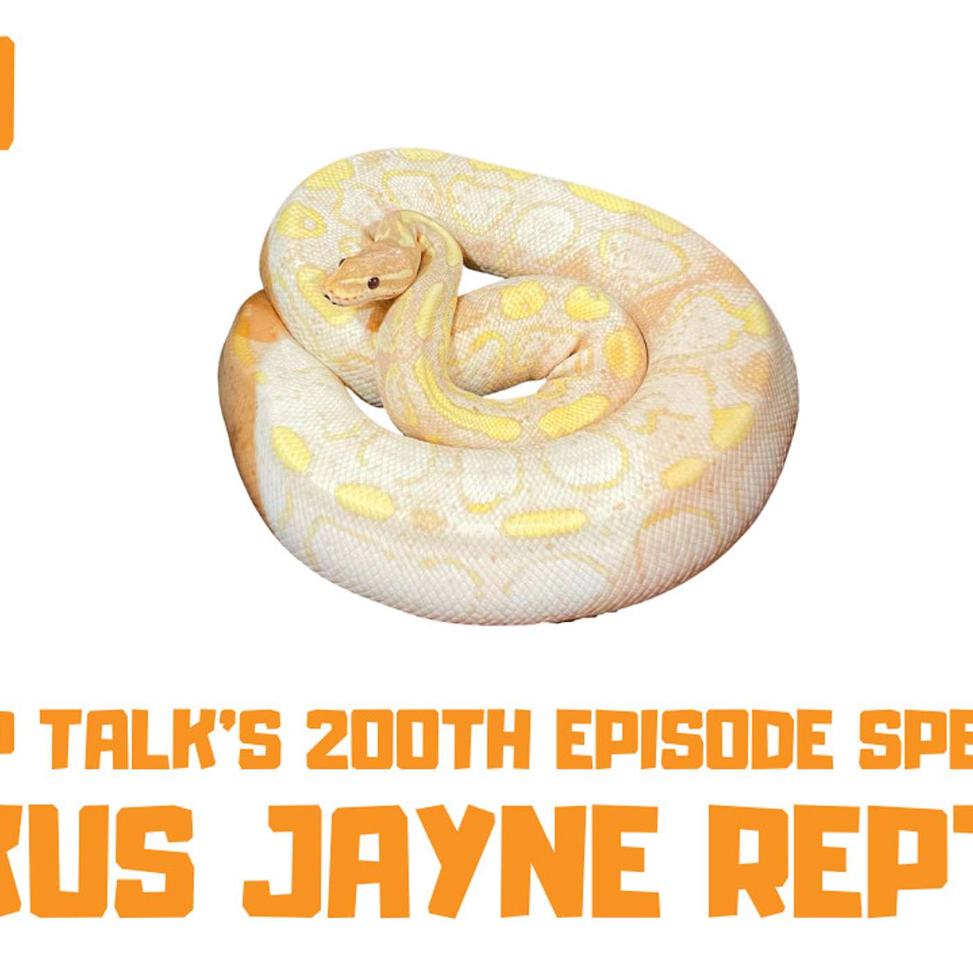 #200 MARK & JAYNE MANDIC OF MARKUS JAYNE REPTILES | BALL PYTHONS CANADA | 200TH TRAP TALK SPECIAL