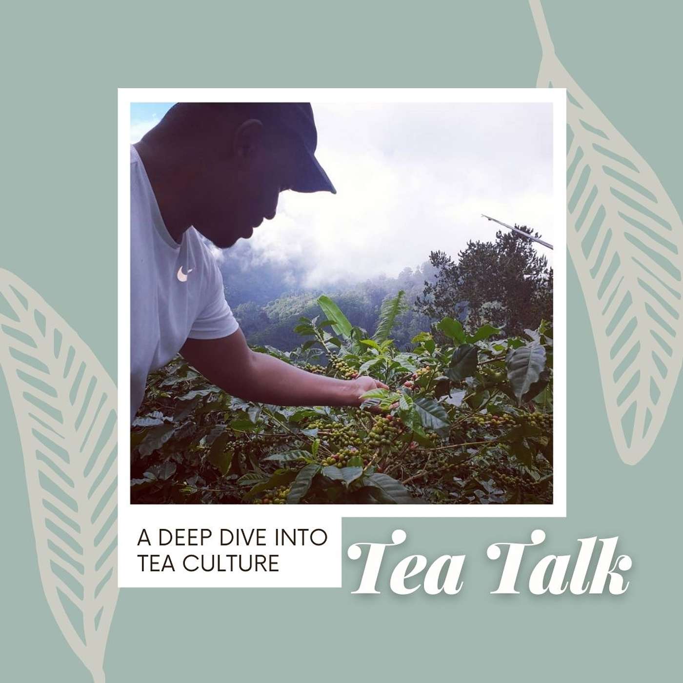 Shernelle\'s Tea Talk