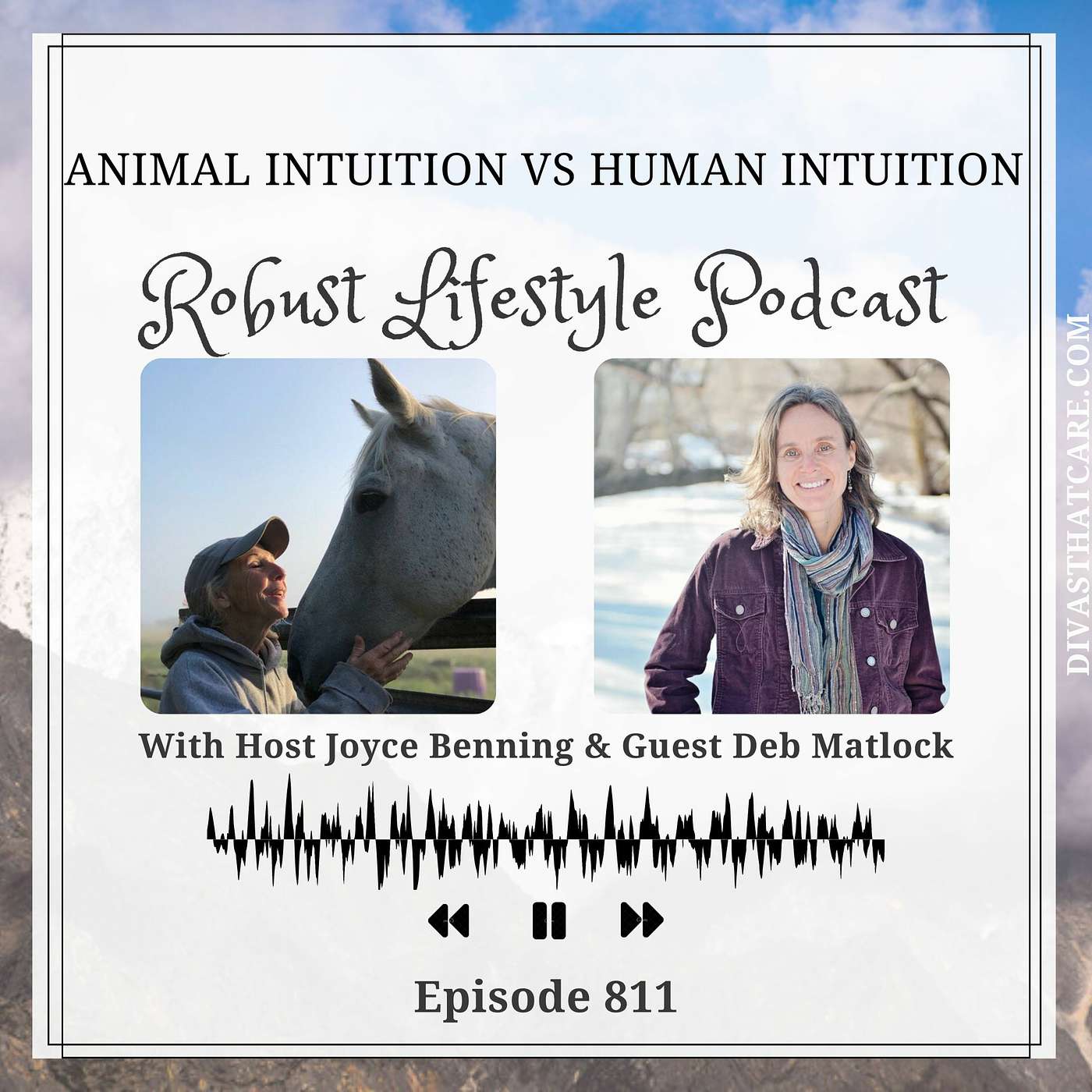 Animal Intuition vs Human Intuition episode artwork