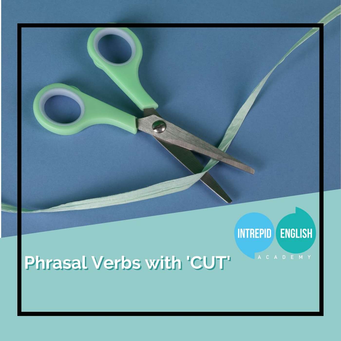 Phrasal Verbs With Cut