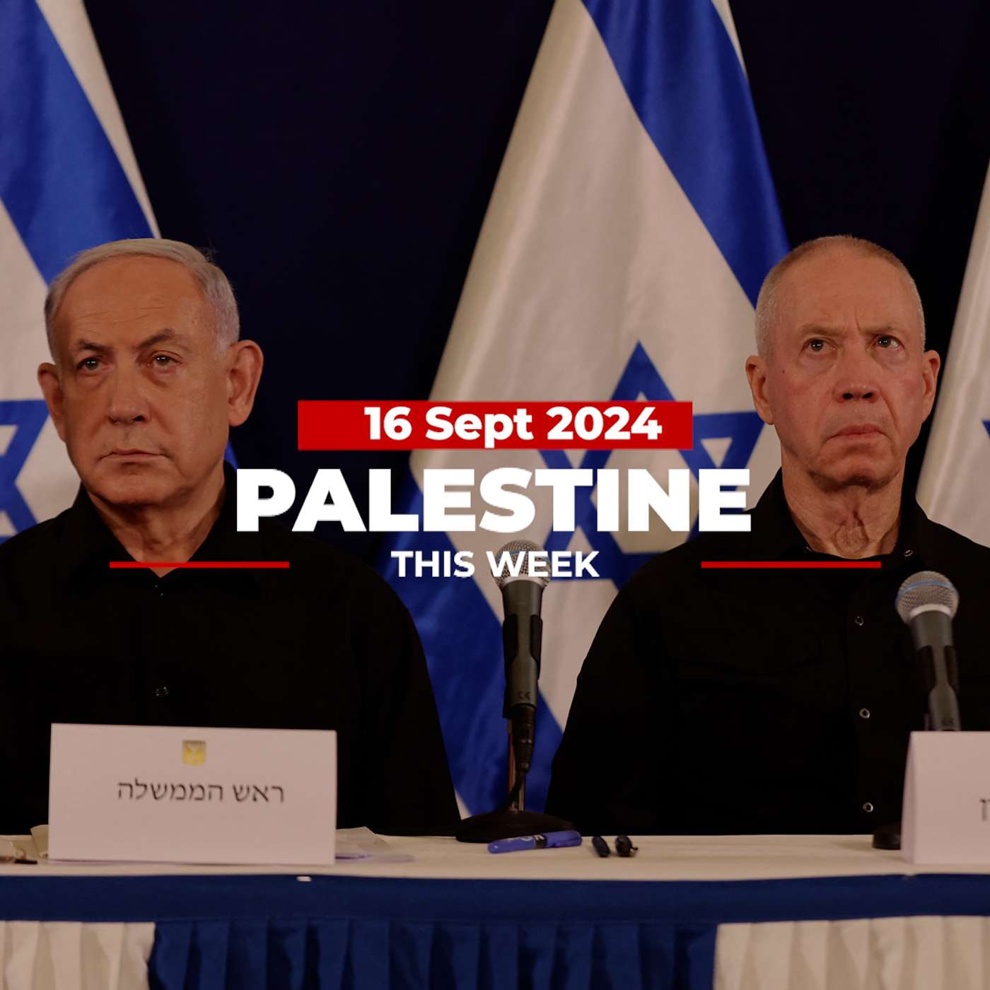 Palestine This Week