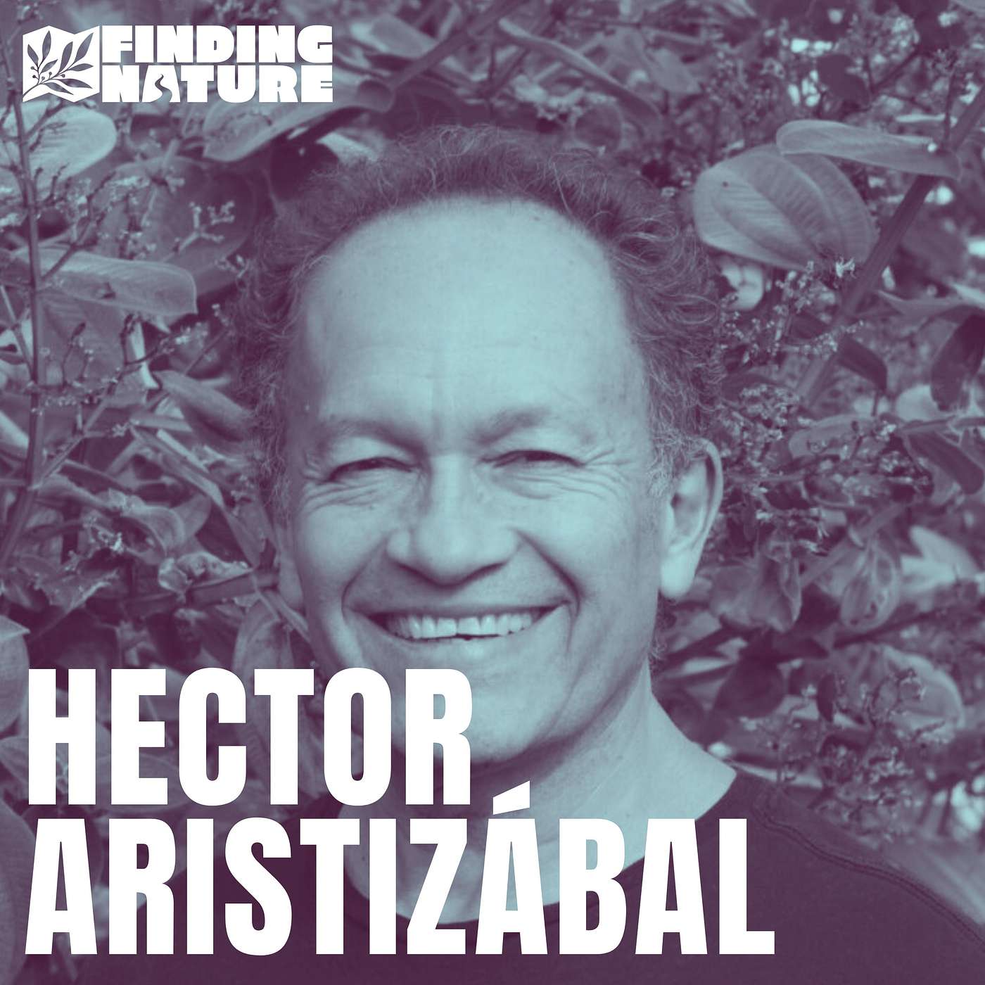 Rising Above Loss and Languishing - Hector Arisitizábal on New Beginnings episode artwork